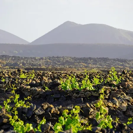 Casa Huertas 度假居 *