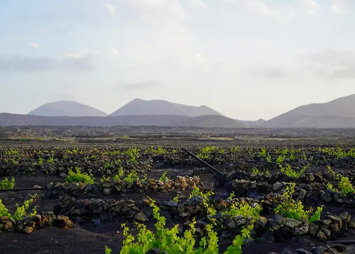 Casa Huertas Dom wakacyjny