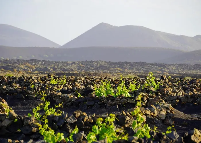 Casa Huertas Dom wakacyjny *